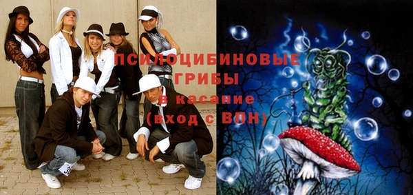 ECSTASY Абаза