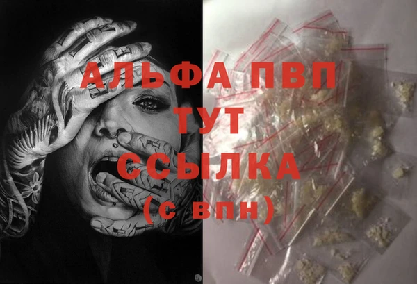 ECSTASY Абаза
