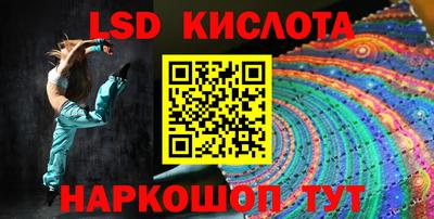шишки Можга