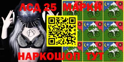 шишки Можга