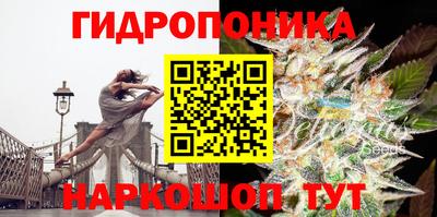 шишки Можга