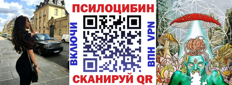 блэк спрут tor Братск Галлюциногенные грибы Magic Shrooms наркота